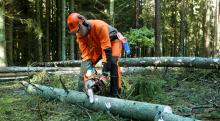 Wykonywanie usług z zakresu gospodarki leśnej na terenie Nadleśnictwa Miechów w roku 2021 - pakiety numer:  03.03, 05.03